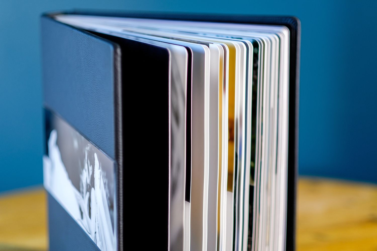 Professional photo album with black spine displayed against blue background showing multiple pages.