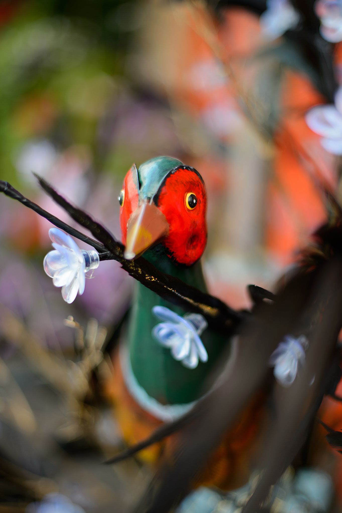 Macro photography of red and green hummingbirds feeding on delicate white flowers.