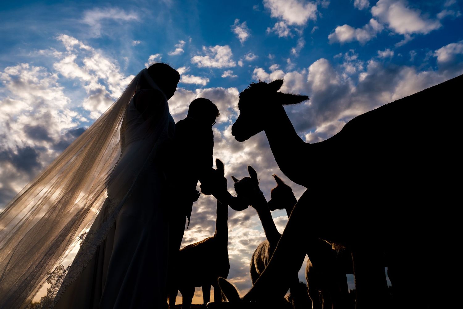 Silhouettes of people in cowboy hats stand against dramatic clouds and sunlight during sunset.
