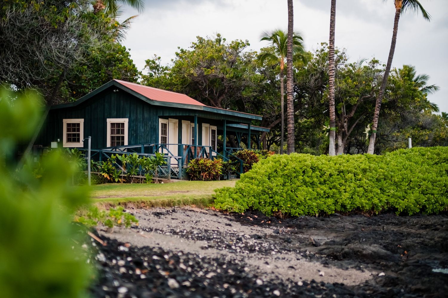 Rustic cabins nestled among palm trees and lush vegetation along a rocky black lava coastline in Hawaii.