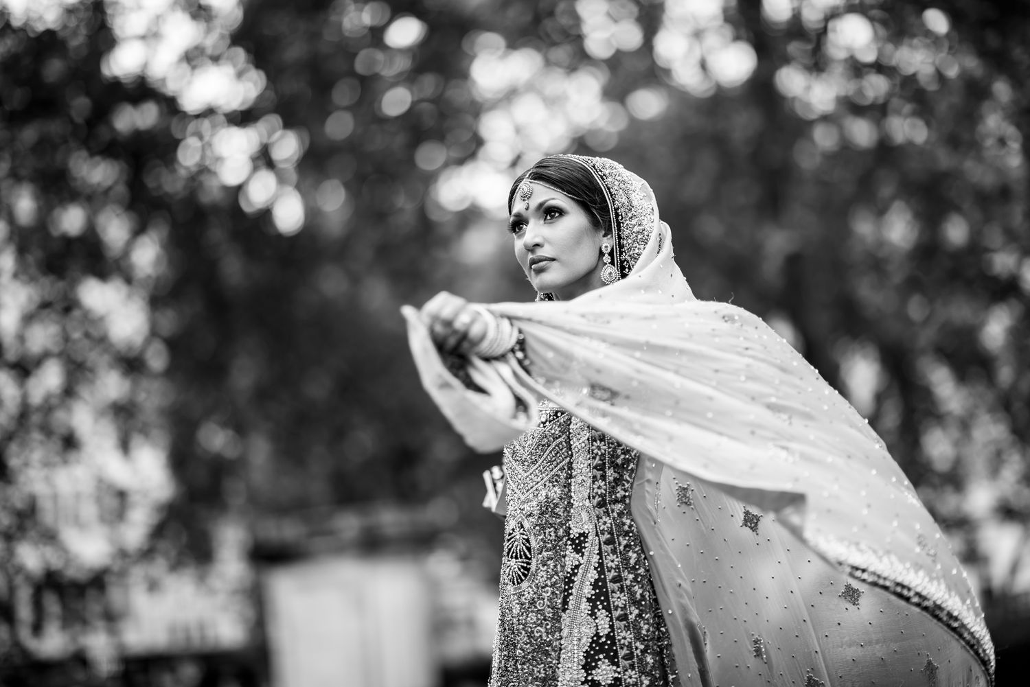 Bride in traditional attire poses with flowing veil against a black and white nature backdrop.