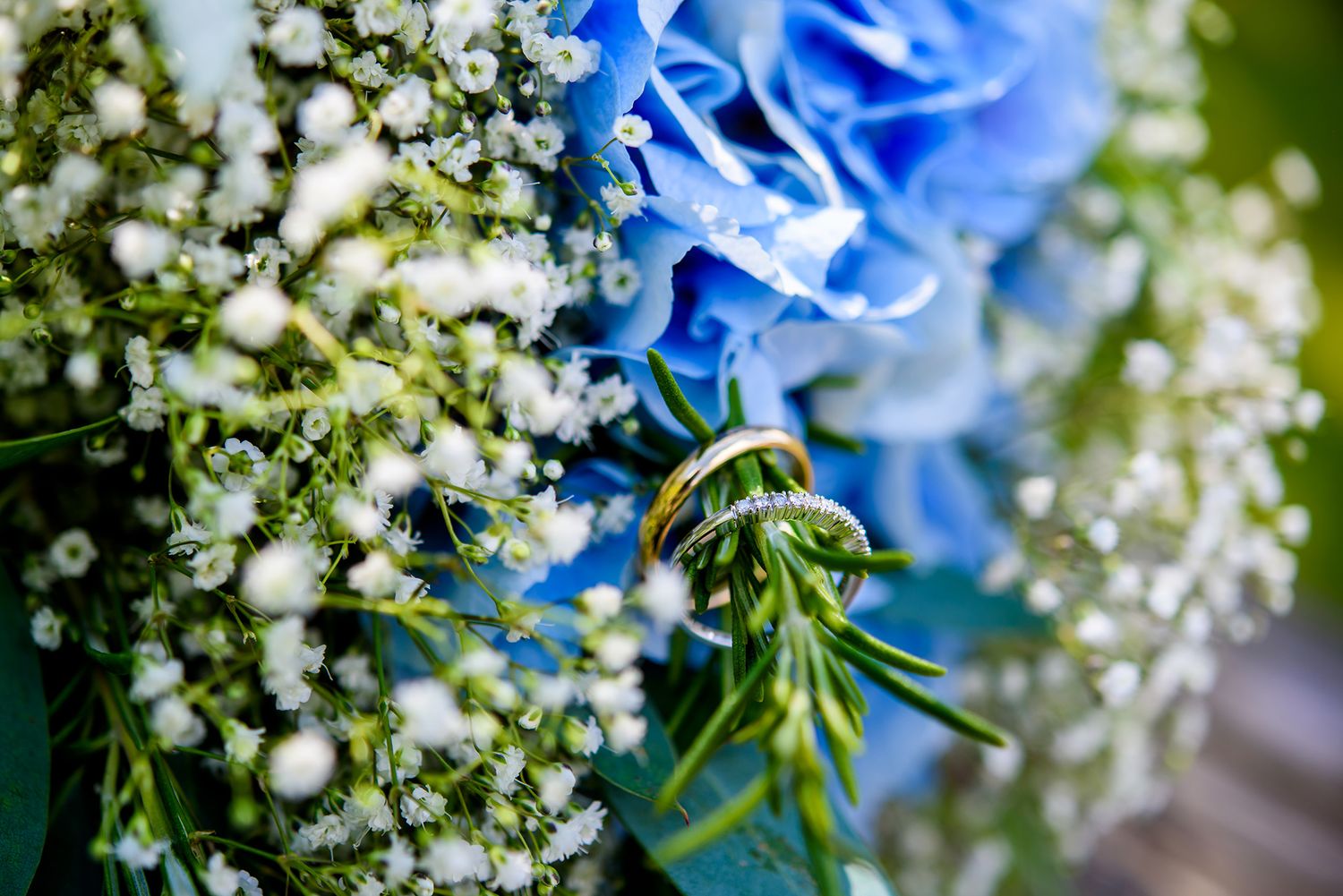Close-up of delicate blue delphinium flowers with white baby's breath in a wedding arrangement.
