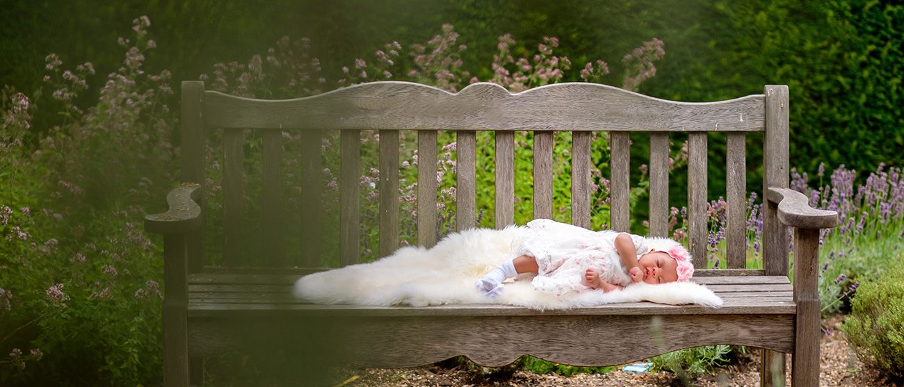 Wooden park bench overlooking a peaceful garden setting.