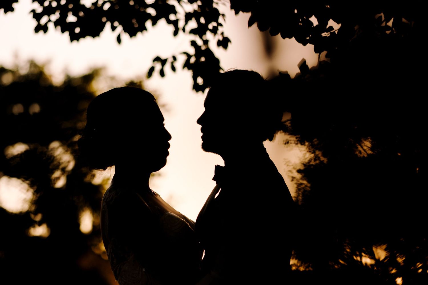 Silhouetted wedding party figures against warm sunset sky during outdoor celebration.
