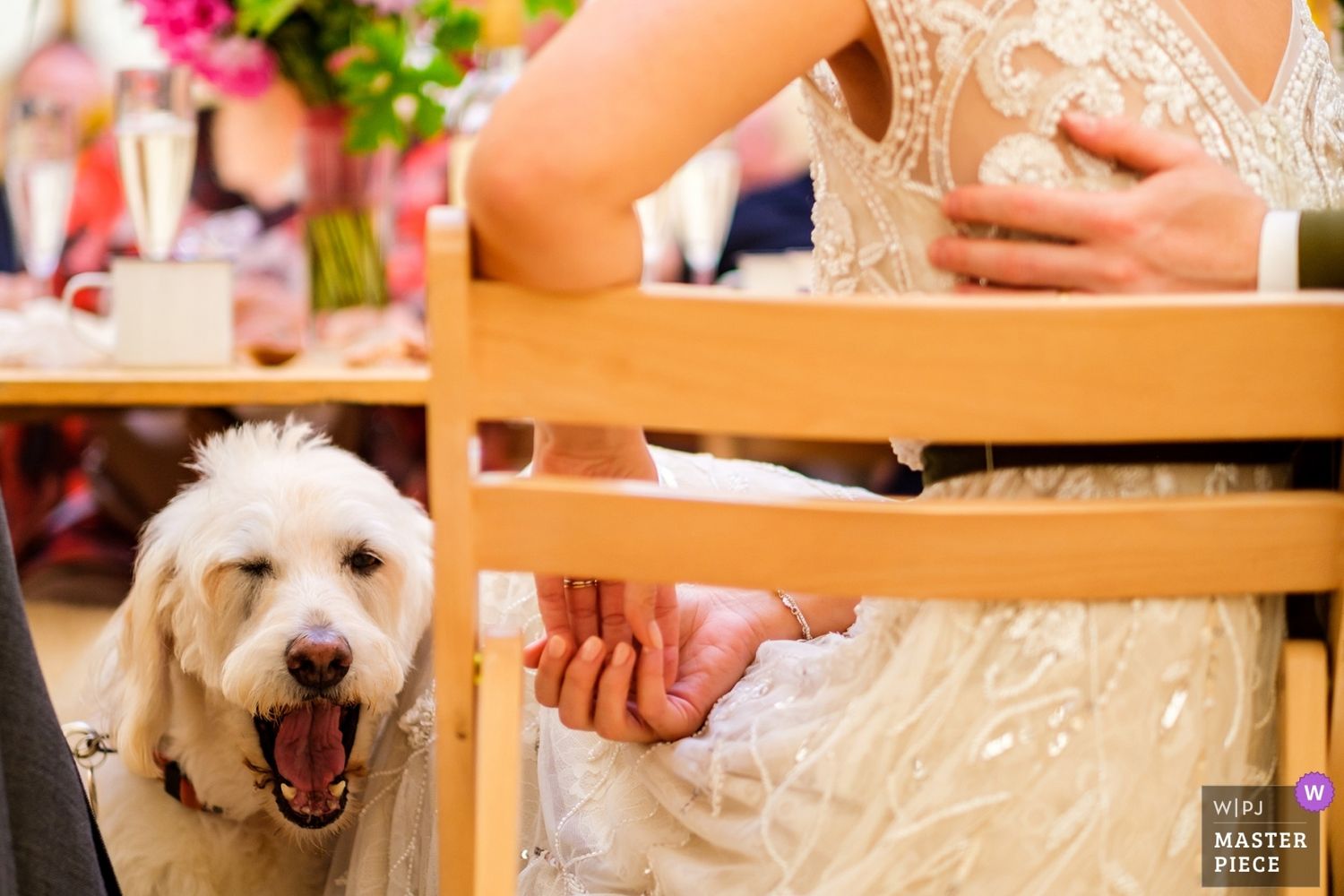 Festive wedding party table with decorative place settings and floral arrangements.
