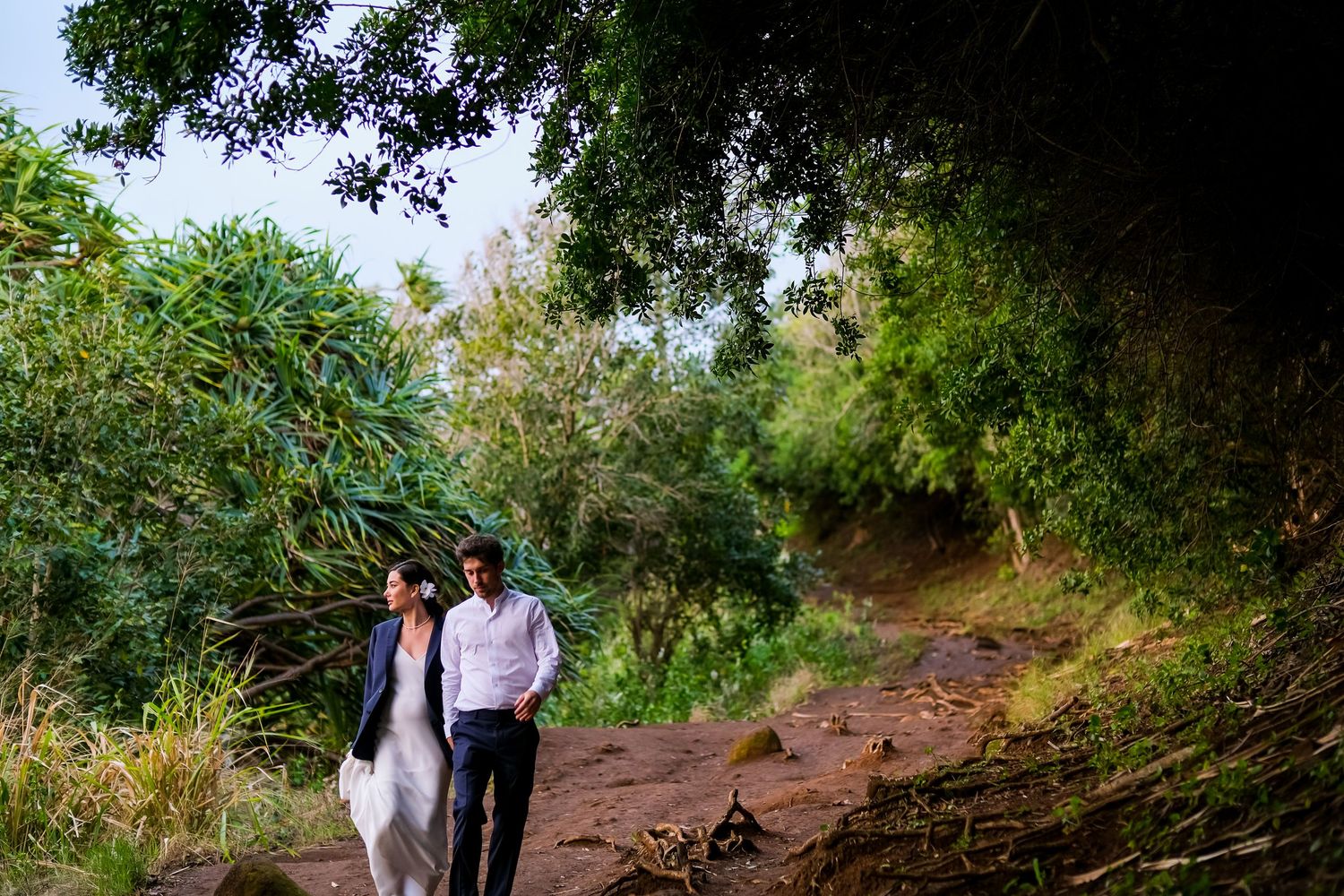 Lush tropical foliage frames a romantic pathway for wedding photographs.