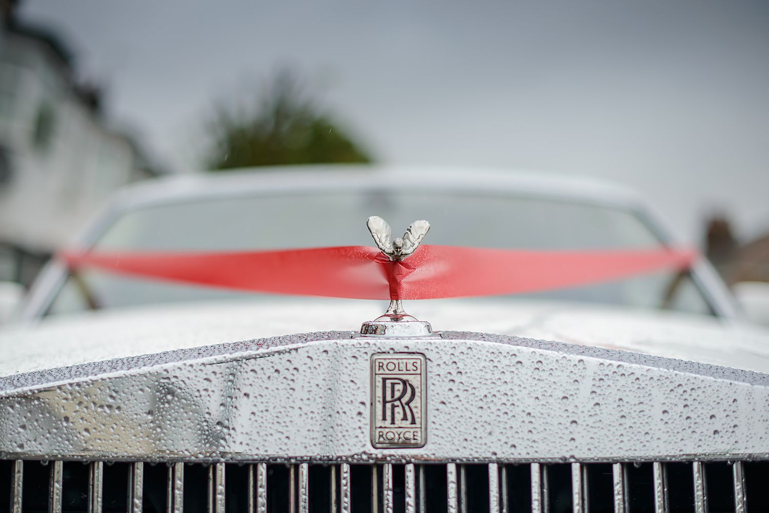 Classic Rolls Royce Spirit of Ecstasy hood ornaments lined up in a row.