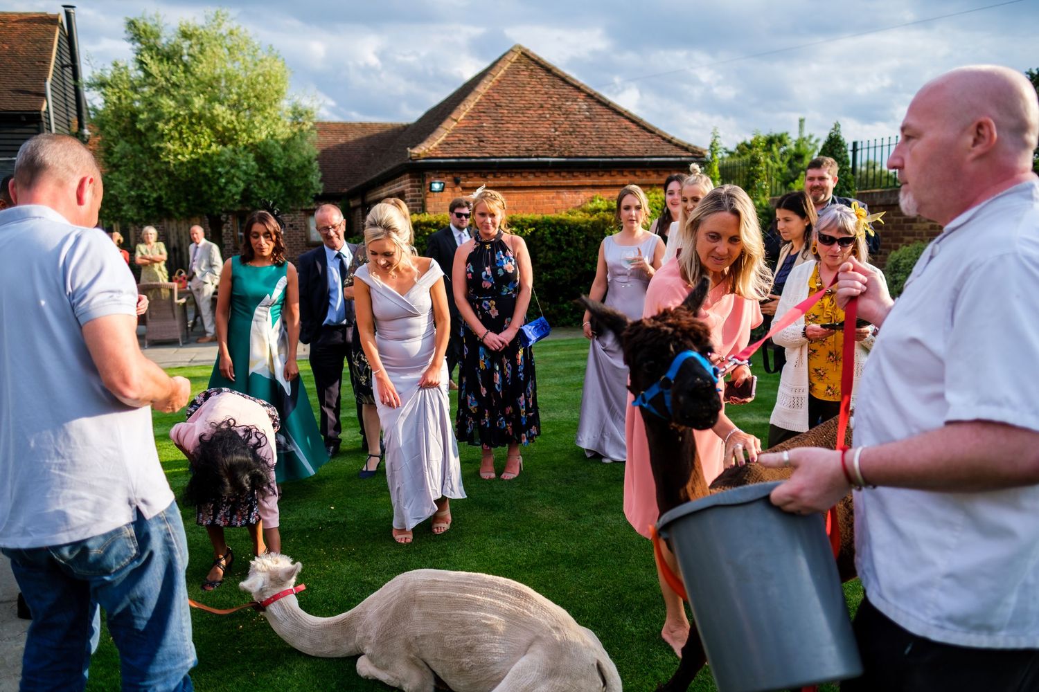 Wedding guests gathered on a lawn outside a brick building during a sunny afternoon celebration.