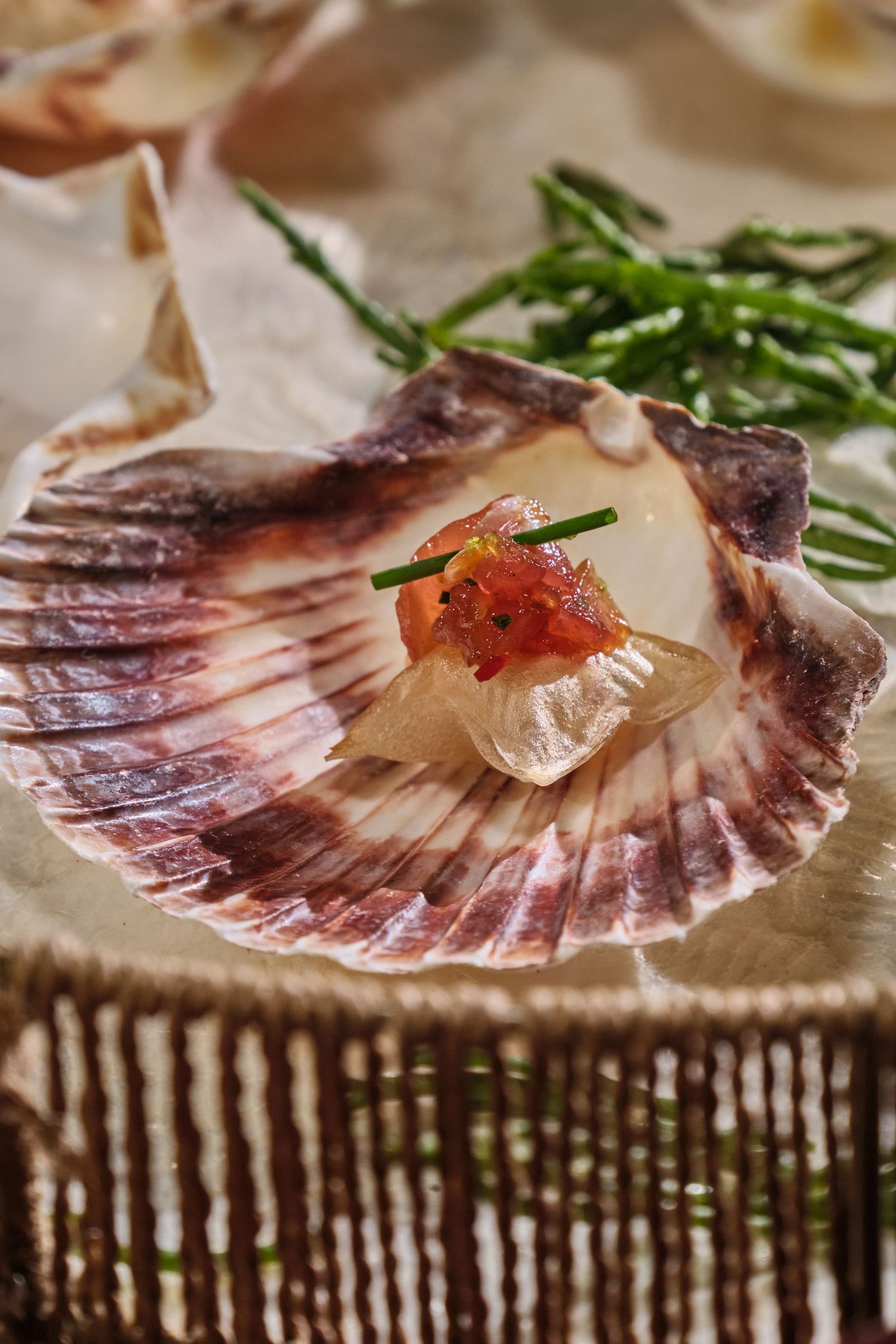 Elegant scallop served in its shell with salmon roe and chives, garnished with sea herbs on a rustic surface.