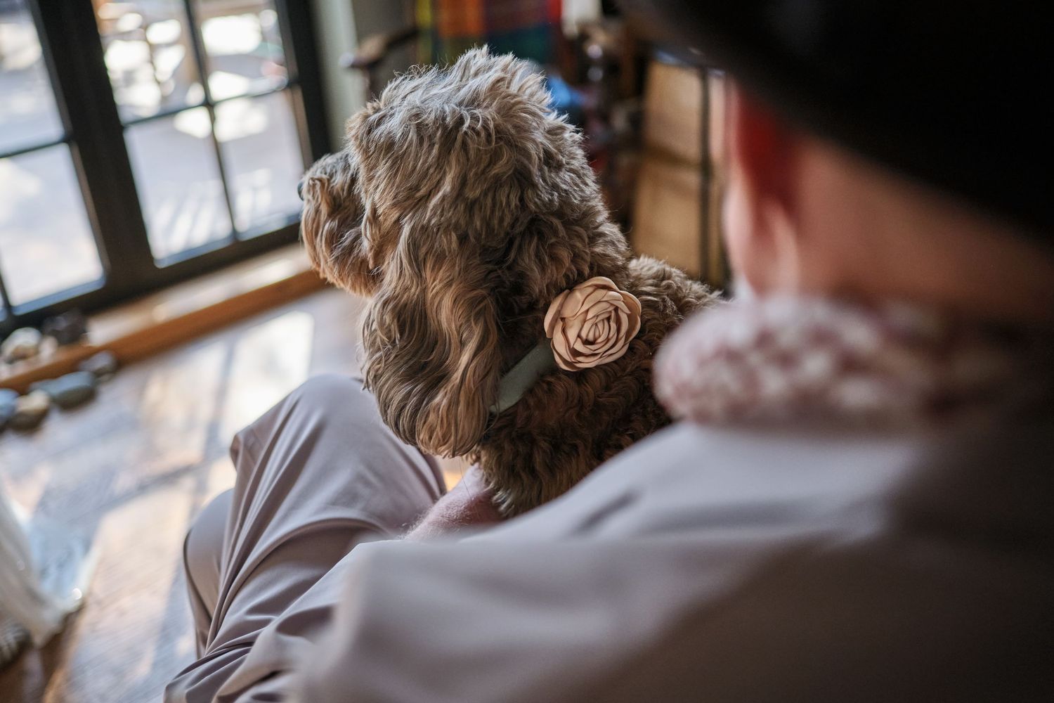 Wedding celebration scene with guests and a lace-adorned dress in soft lighting.