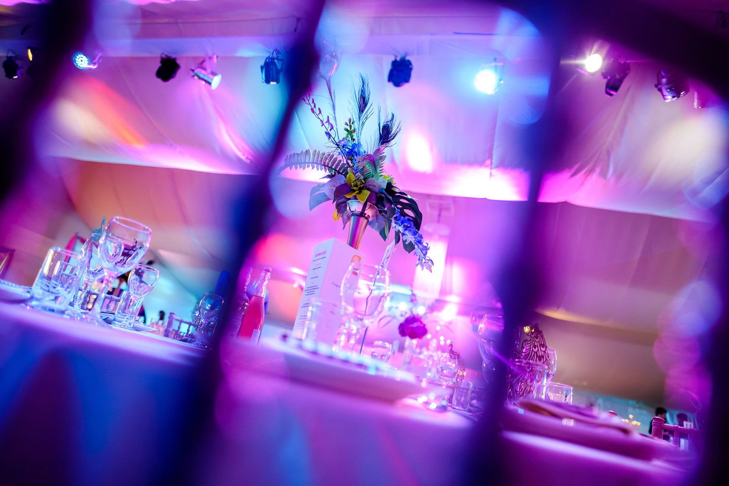 Dynamic reception venue with artistic purple and blue mood lighting creating an ambient atmosphere.