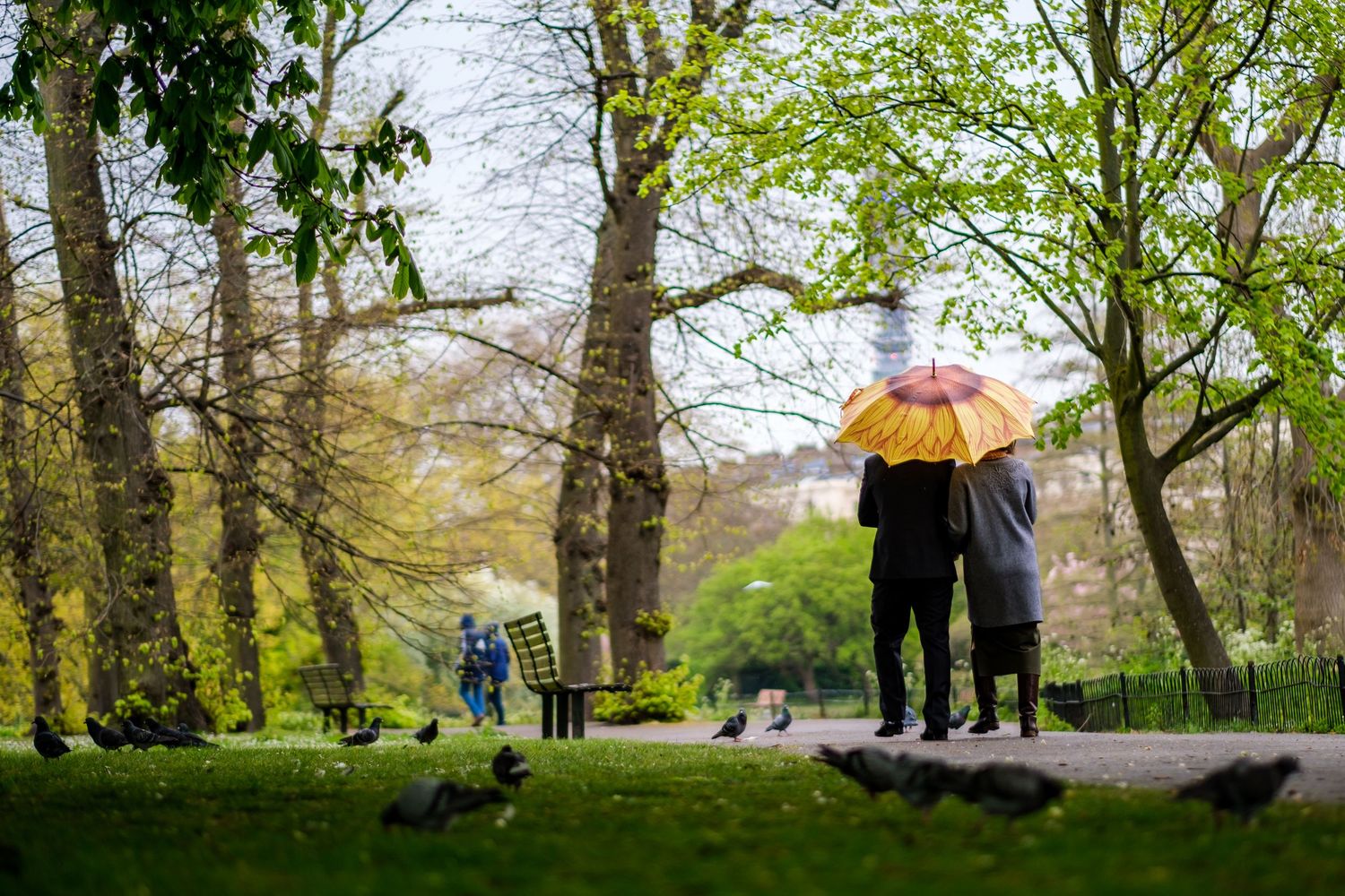 People walking through a scenic park with trees and greenery on a spring day.