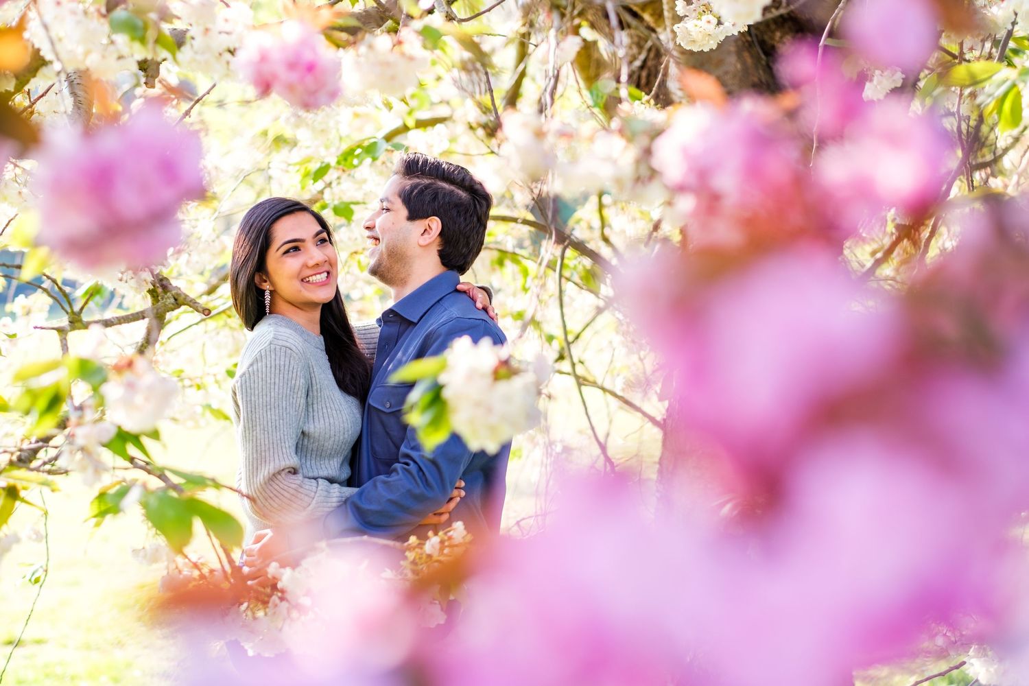 A couple embraces among blooming pink cherry blossoms in a romantic spring garden setting.