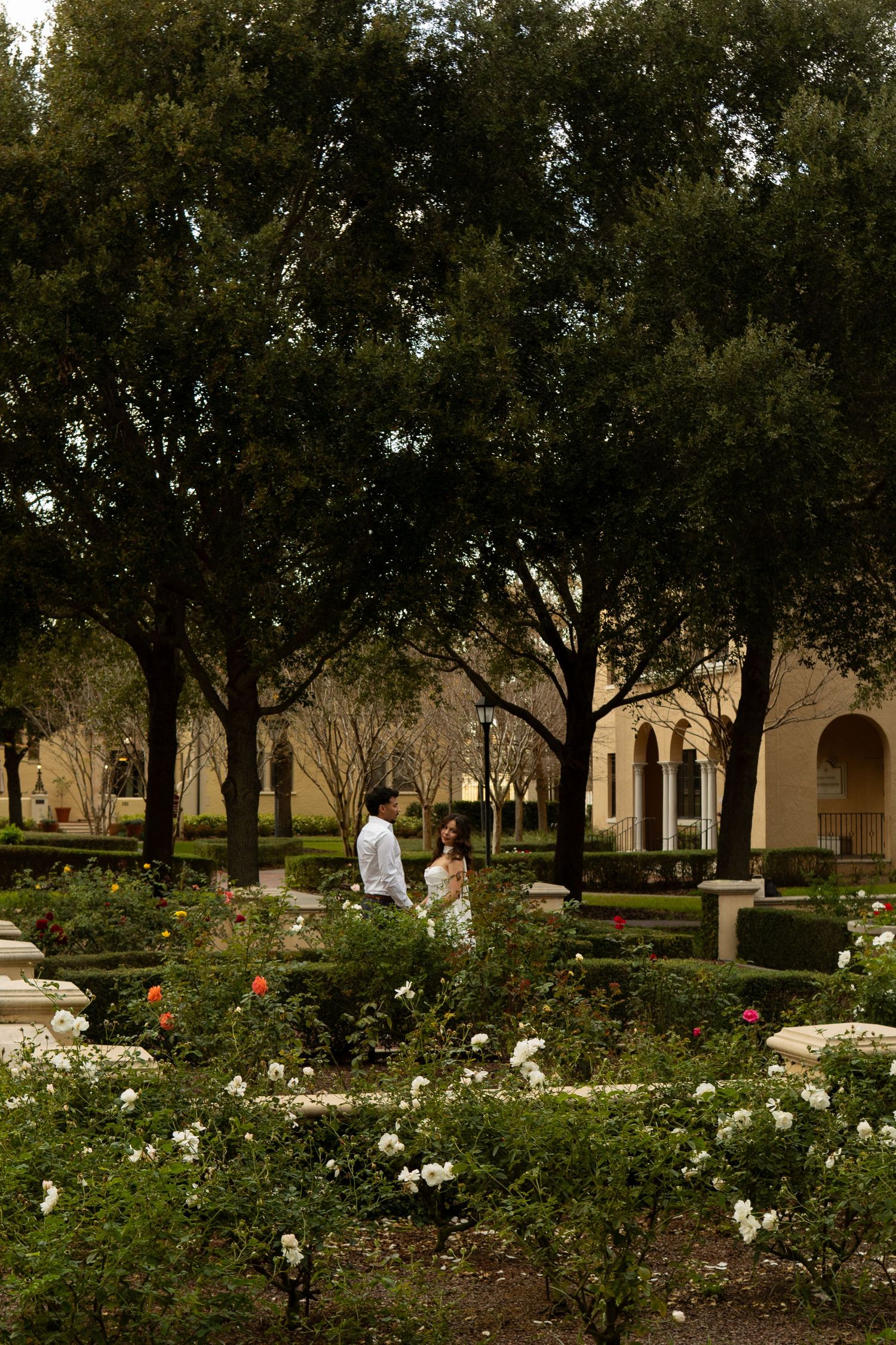Couple standing among rose bushes in a formal garden with large trees and arched building behind.