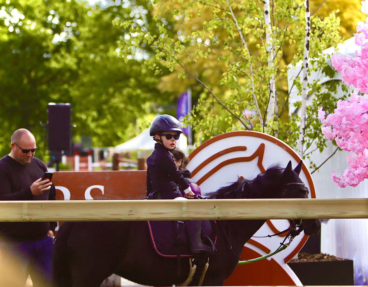 A rider in a purple helmet on a dark horse passes a spectator at an outdoor equestrian event with pink blossoms.