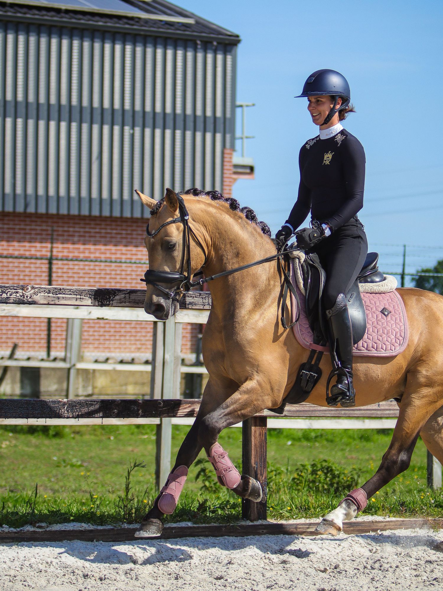 Rider in black equestrian attire on a golden horse with pink leg wraps trotting in an outdoor arena.
