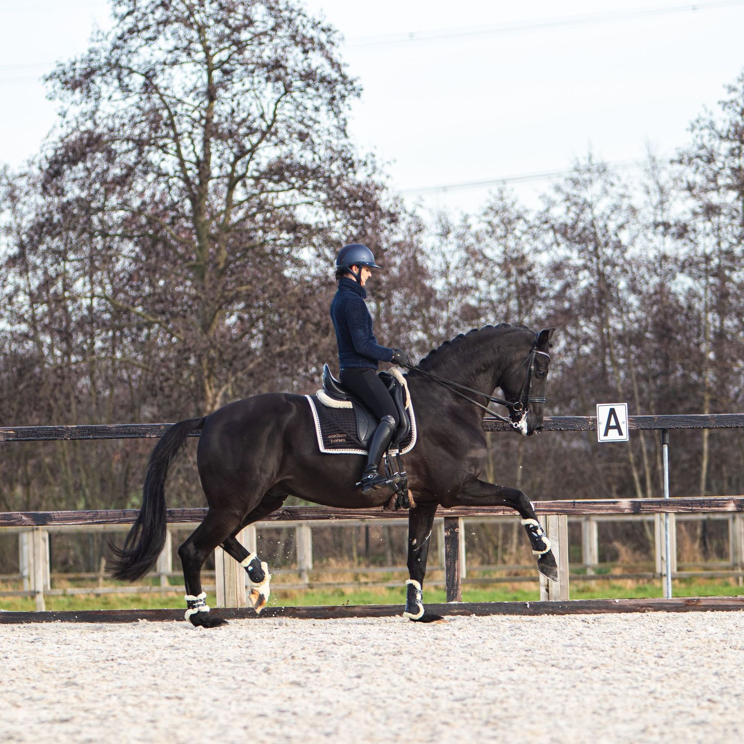 Rider in navy outfit on black dressage horse trotting in outdoor arena with letter A marker visible.