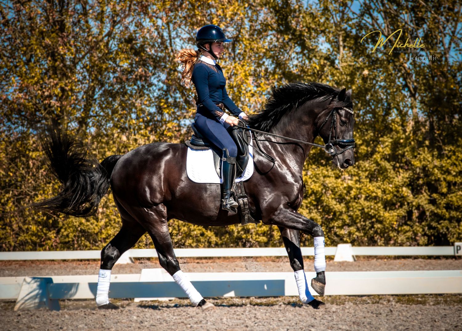 Dressage rider performs extended trot movement on a dark horse during autumn competition.