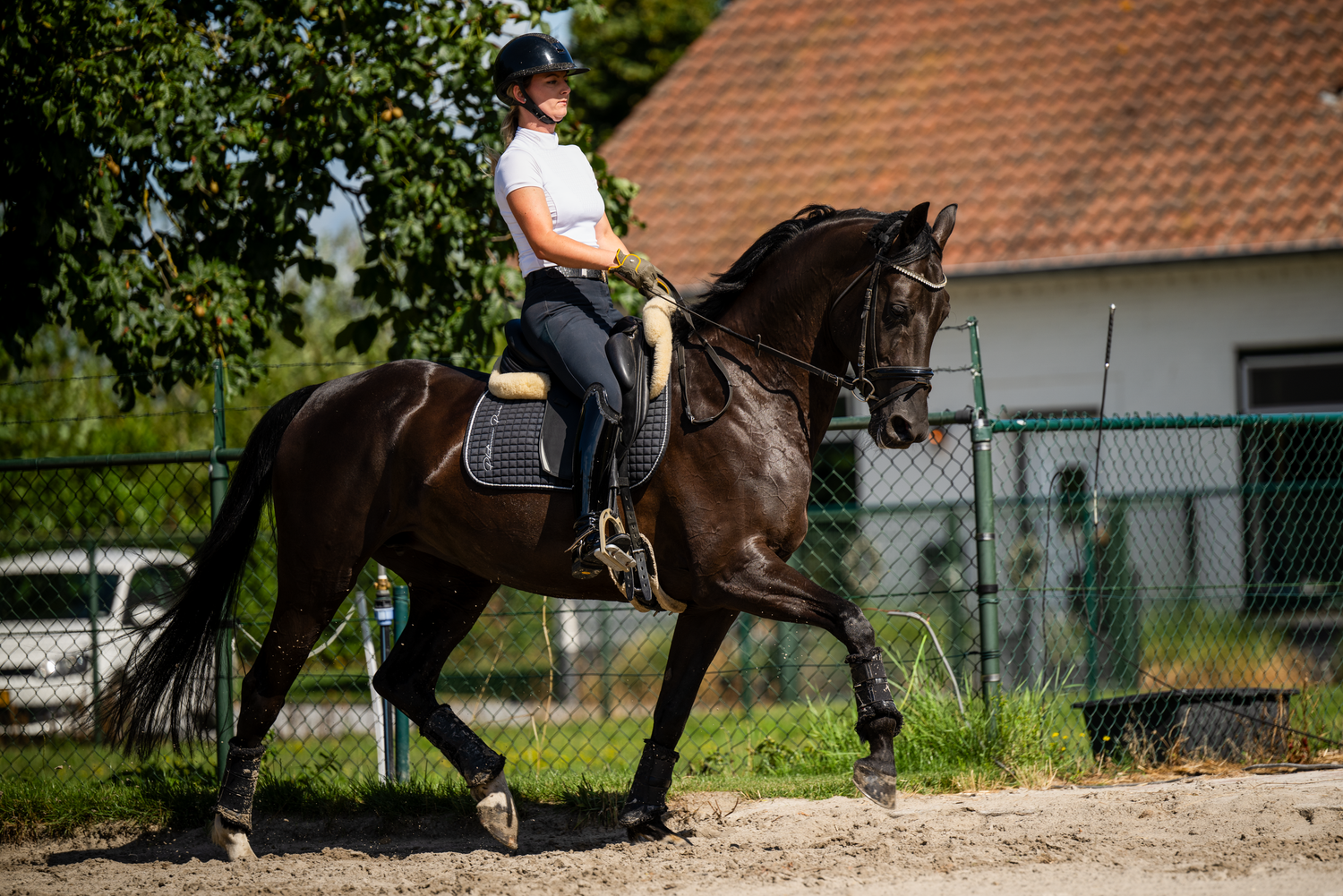 Horse and rider practicing dressage movements in outdoor training arena.