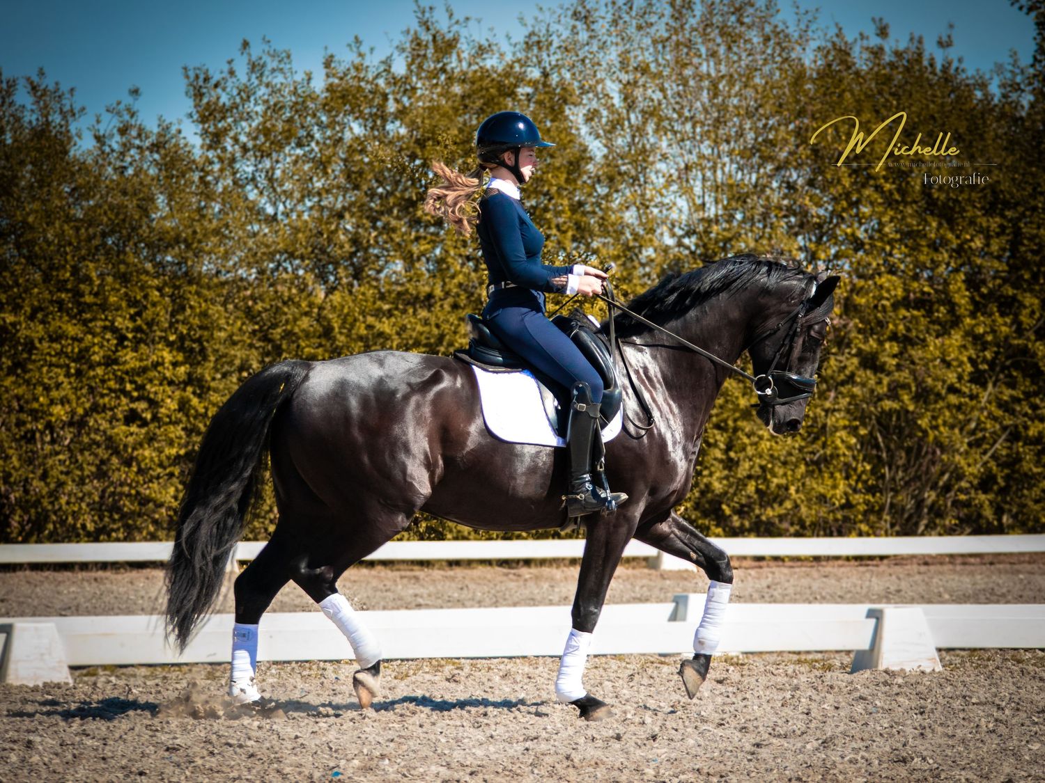 An equestrian rider in blue performs dressage movements on a black horse in an outdoor arena during training.
