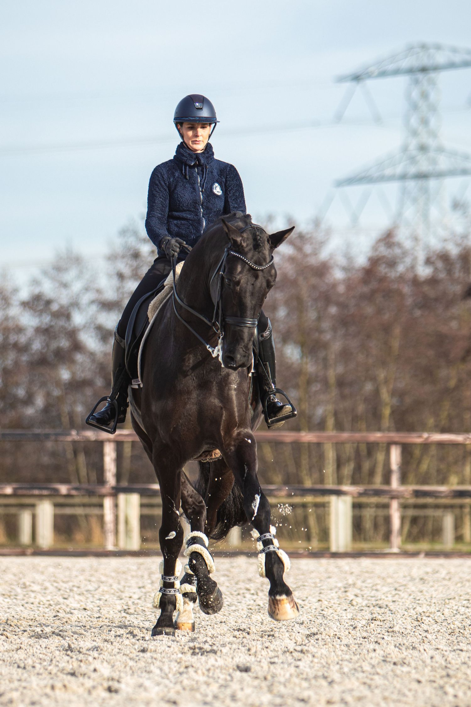 Female equestrian in navy riding gear on a black horse trotting in an outdoor sand arena.