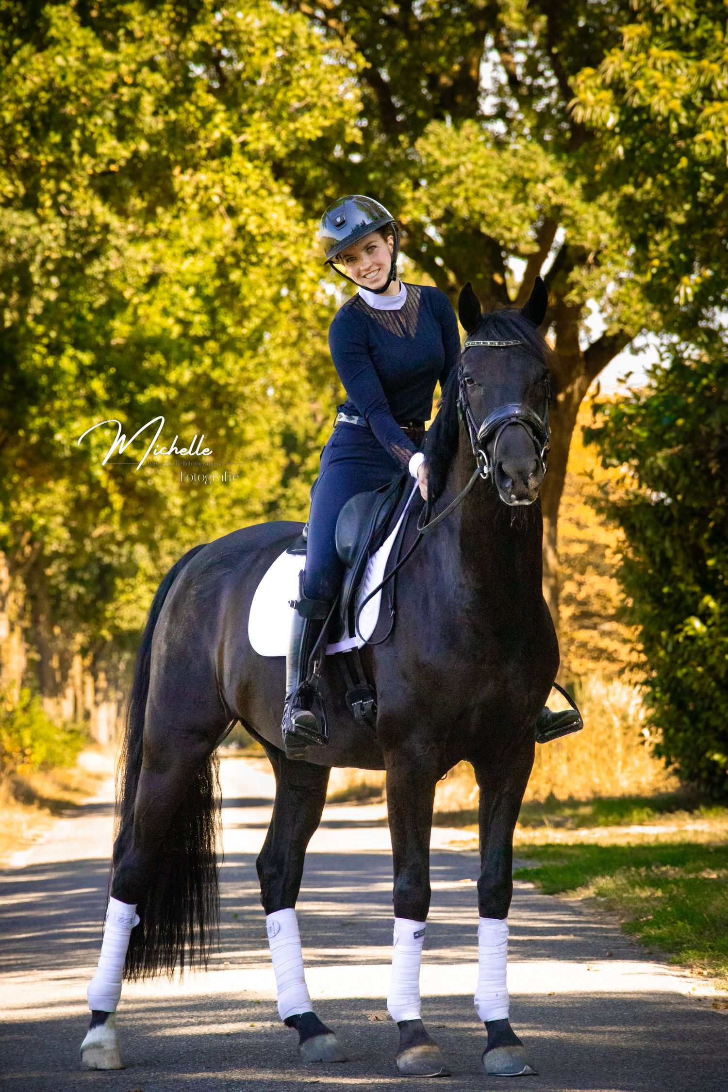Black dressage horse and rider performing movements in golden afternoon light.