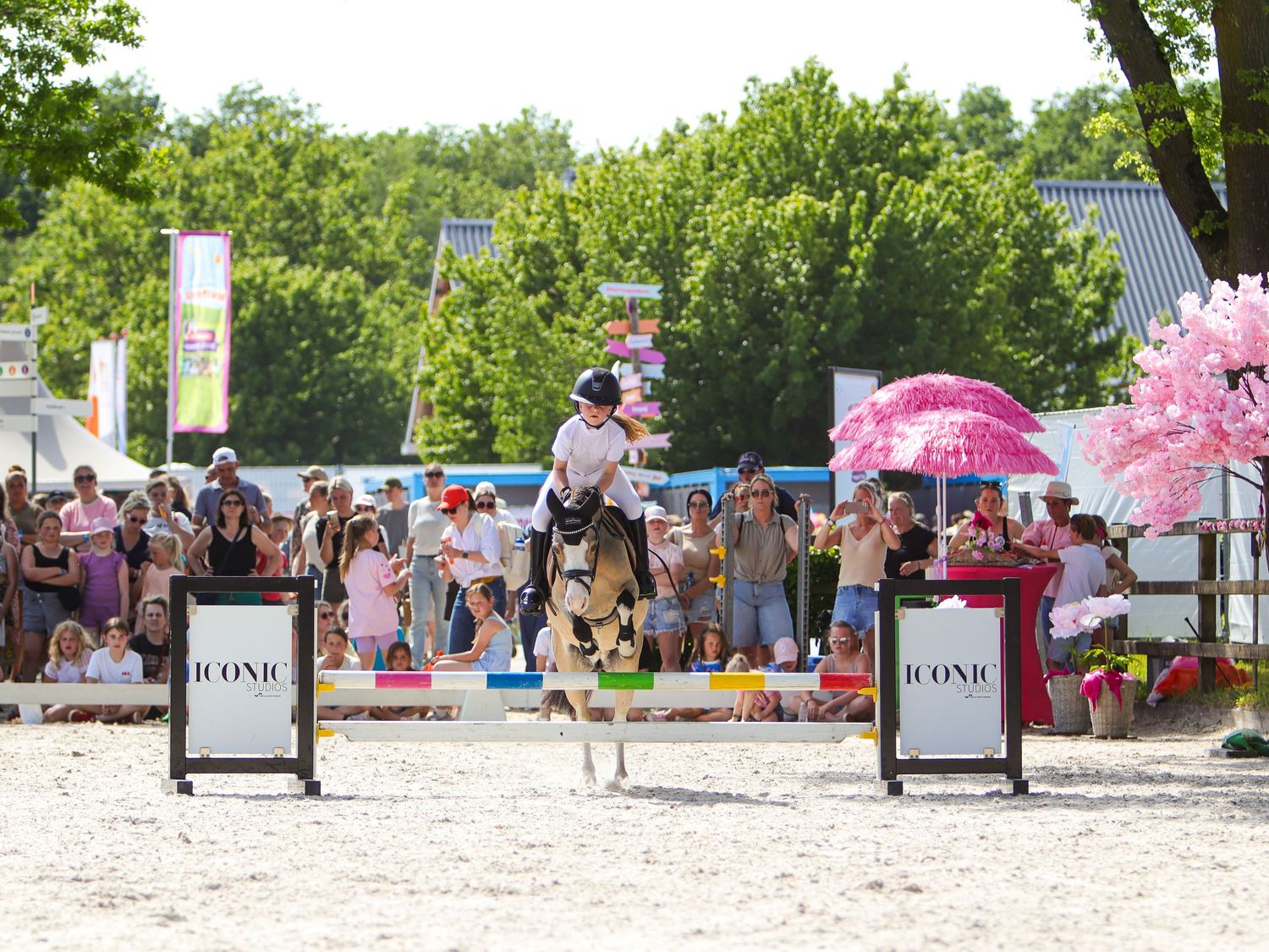 Equestrian performer on horseback at outdoor ICONIC event with crowd of spectators and pink cherry blossom decor.