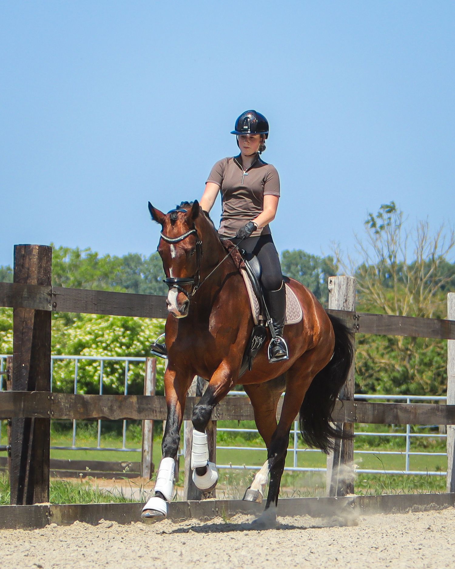 A rider in a helmet navigates a bay horse through a sandy arena surrounded by wooden fencing on a sunny day.
