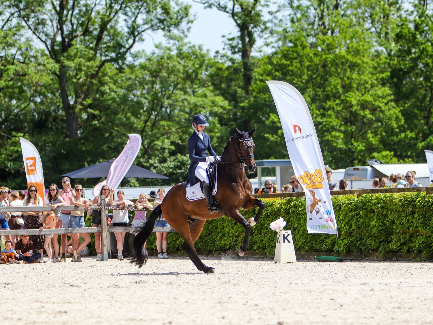 Equestrian rider on a bay horse performing dressage at an outdoor competition with spectators and sponsor banners.