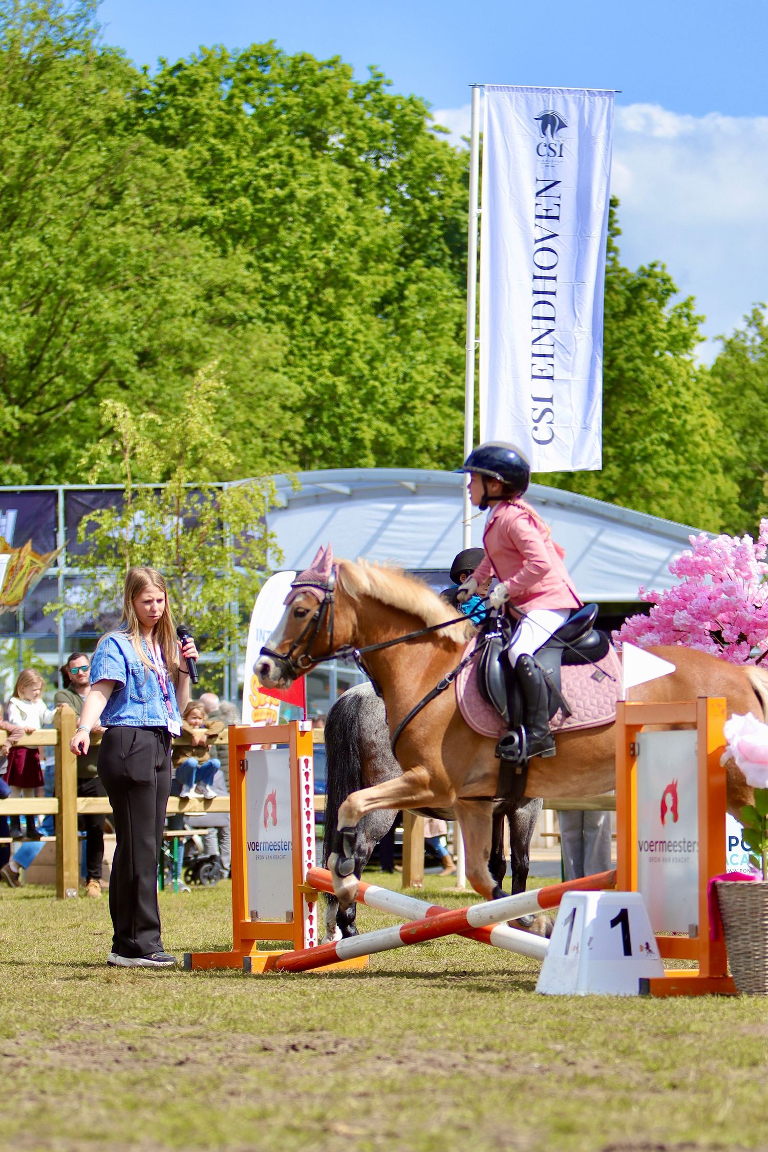Young rider on a chestnut pony jumping a hurdle at CSI Eindhoven show jumping competition on a sunny day.