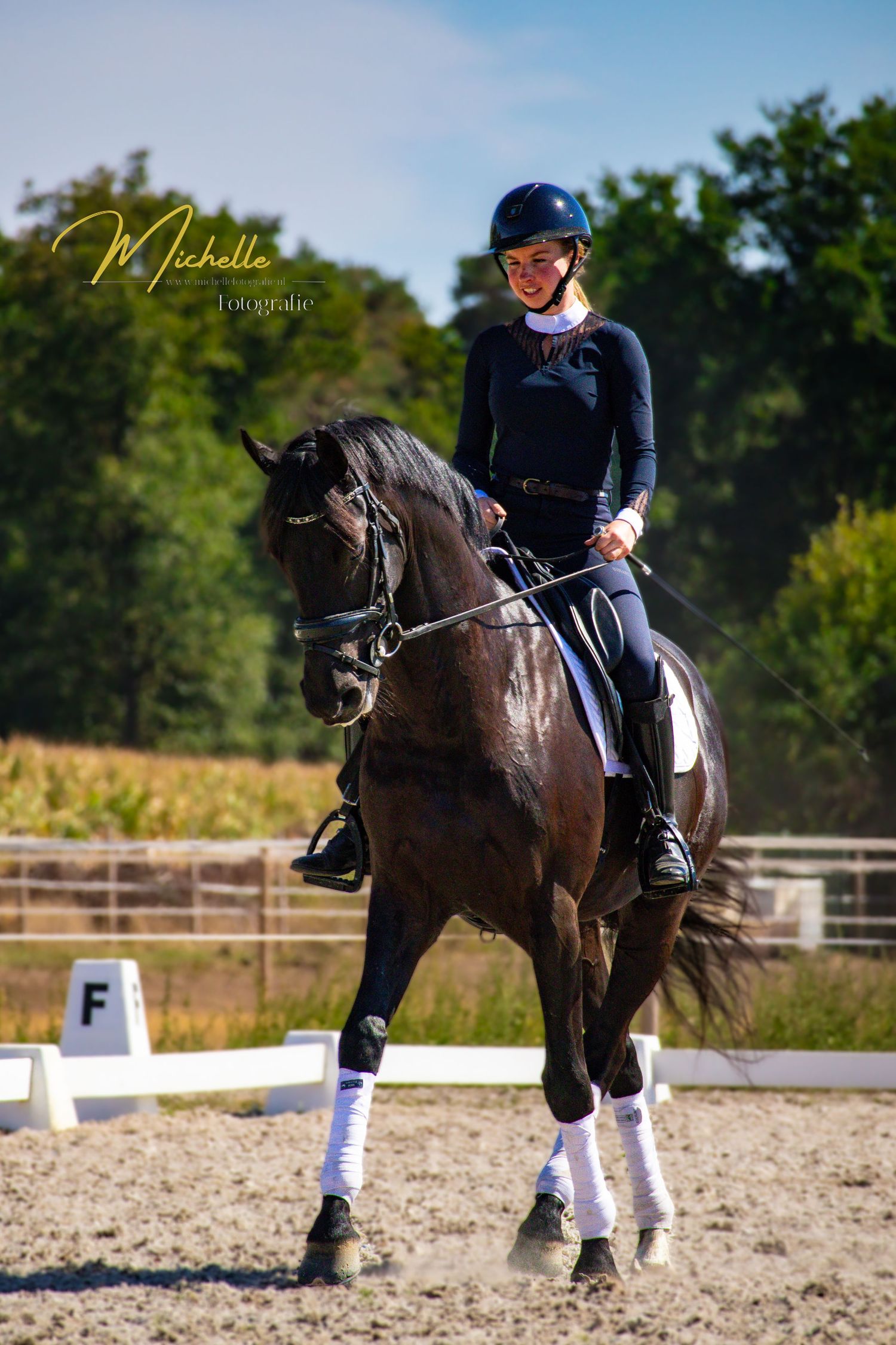Dressage training session showing horse and rider practicing precise movements in outdoor arena.