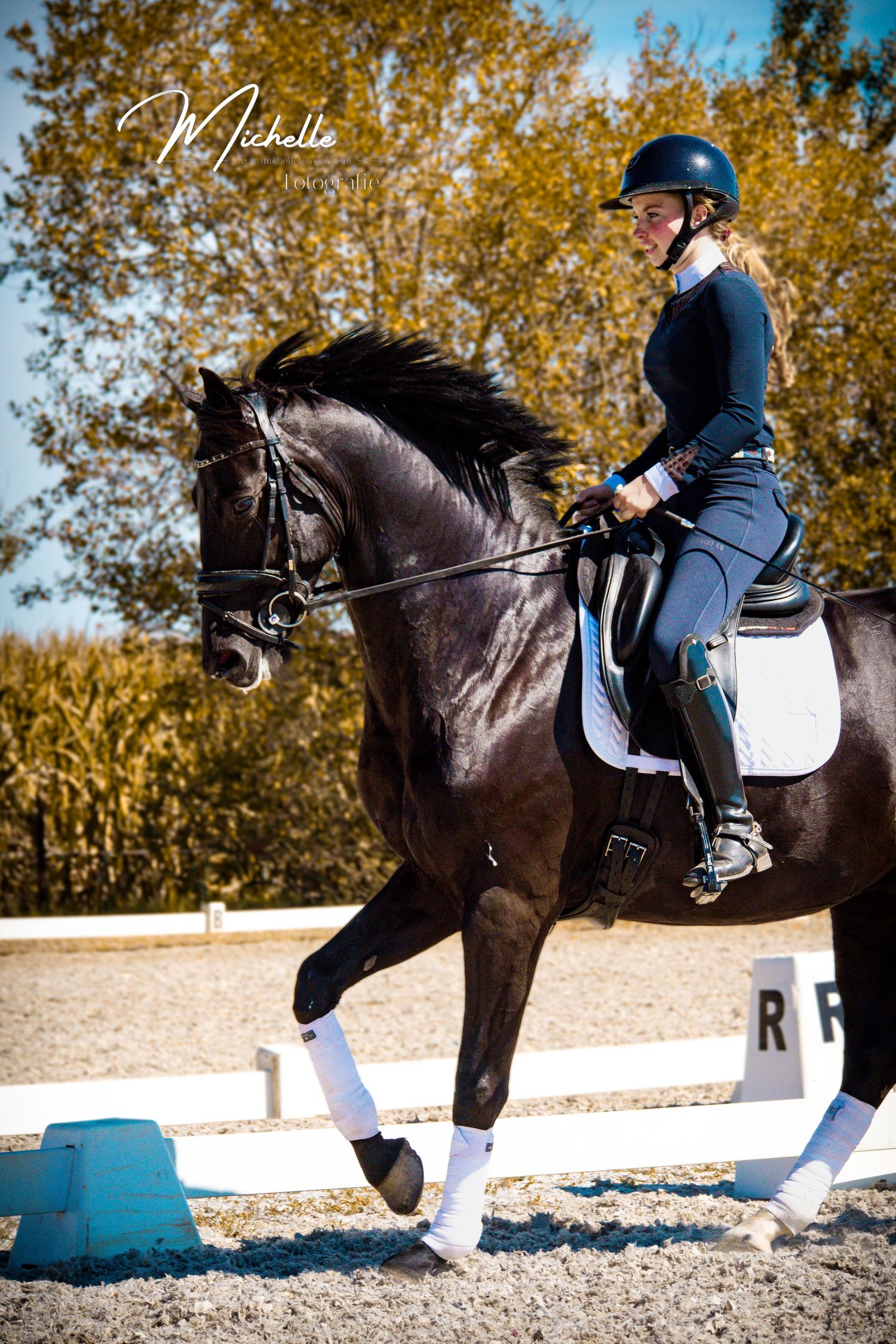 Professional equestrian in navy riding attire performs dressage movements on a black horse in an outdoor arena.