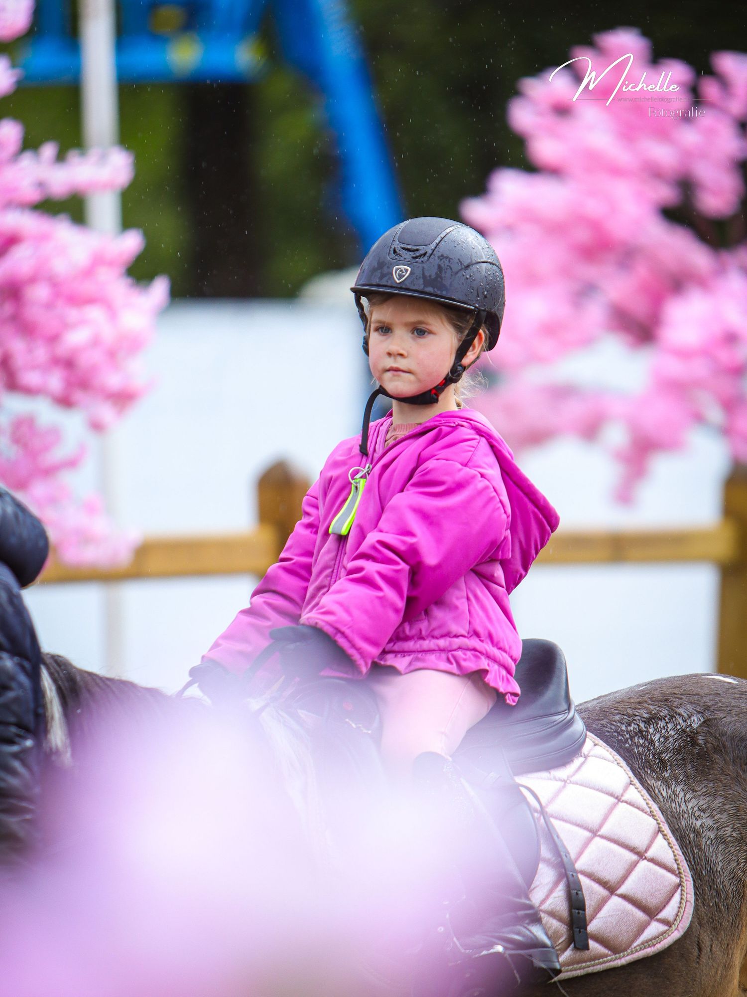A young girl in a pink jacket and black helmet sits atop a pony surrounded by pink cherry blossoms.