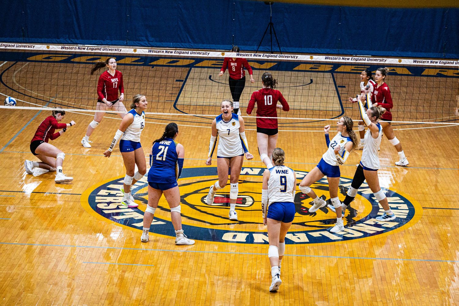 western new england university volleyball