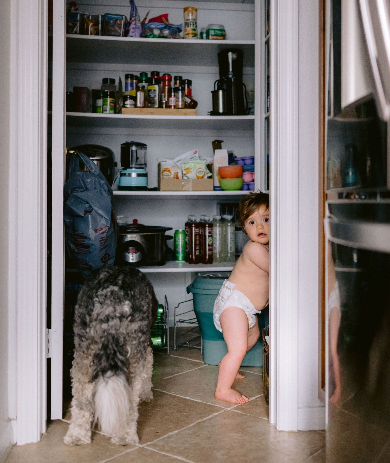 A baby crawling playfully near open closet doors and storage shelves in a home setting.