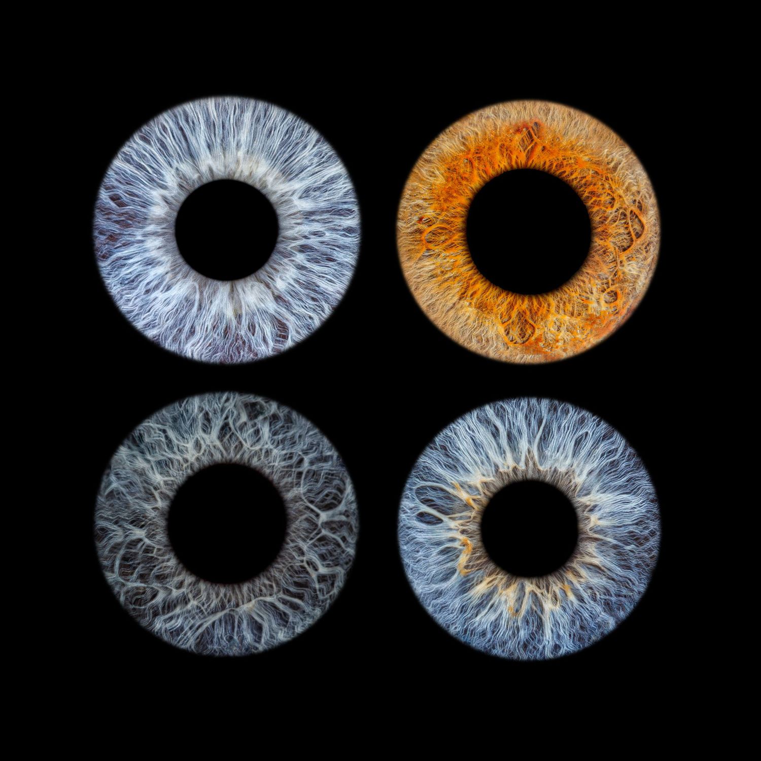 Genfour Eye FOUR + - Eyeconic