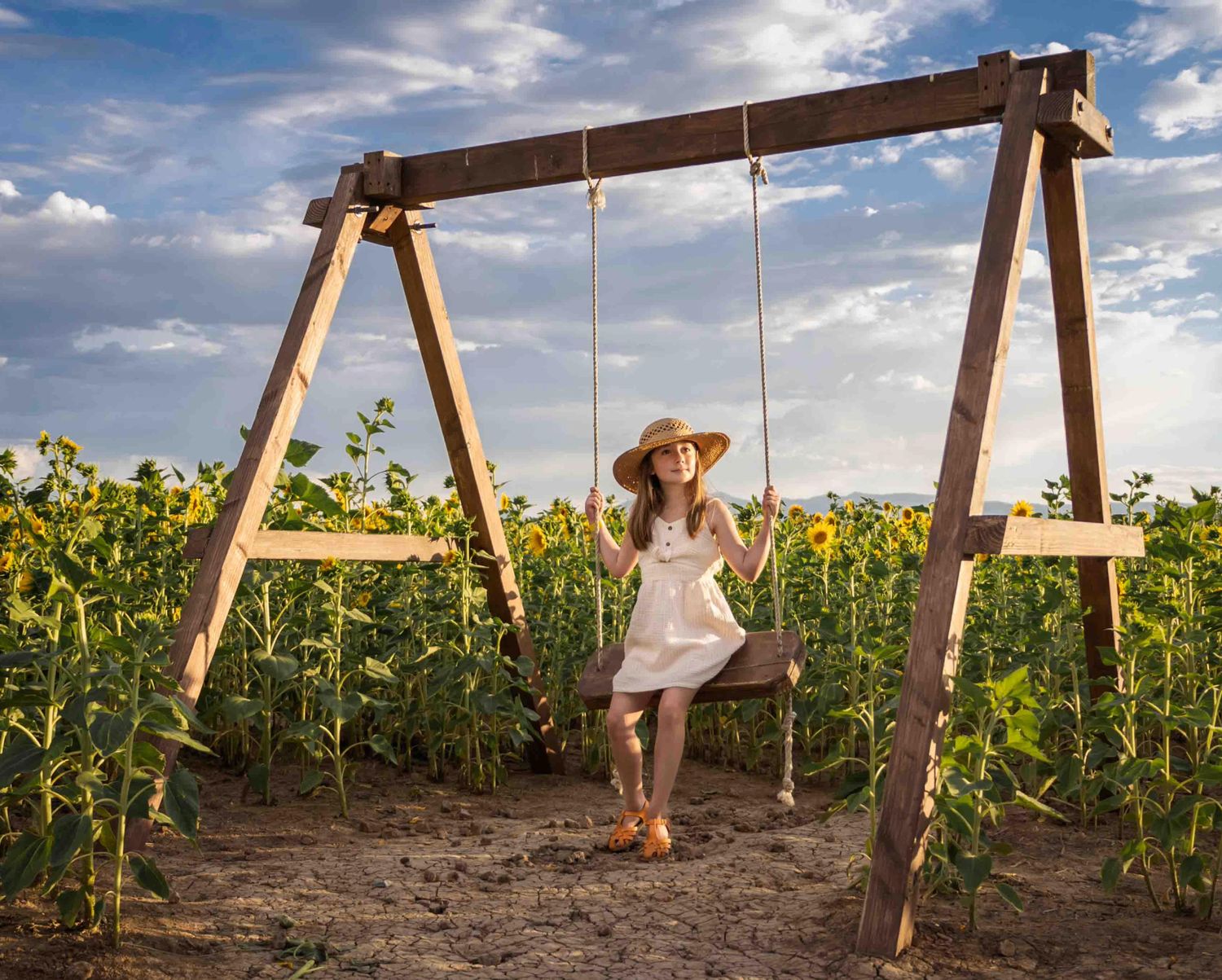 Young girl swings in a sunflower field
