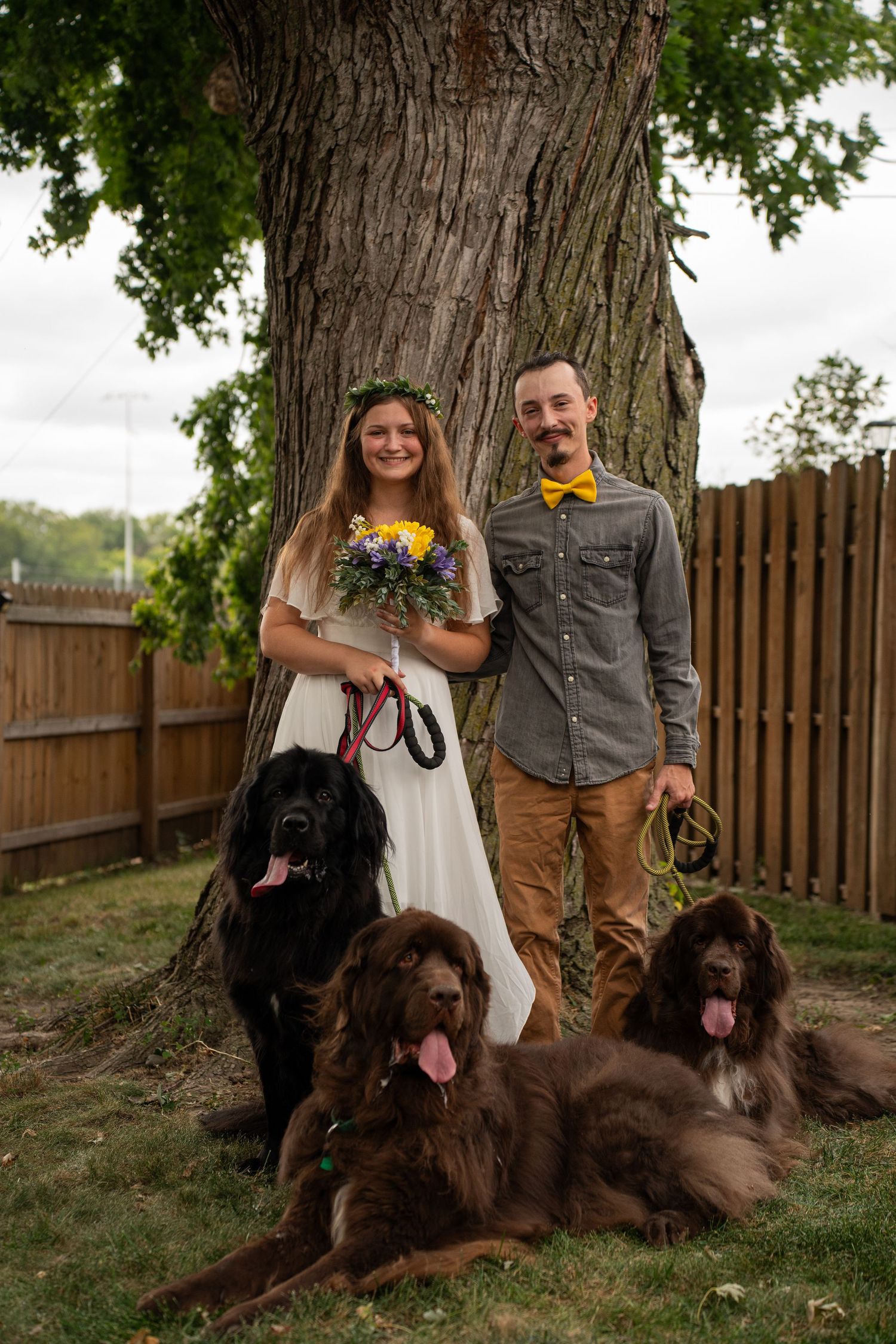 A couple poses with their large brown Newfoundland dog in their backyard garden setting.