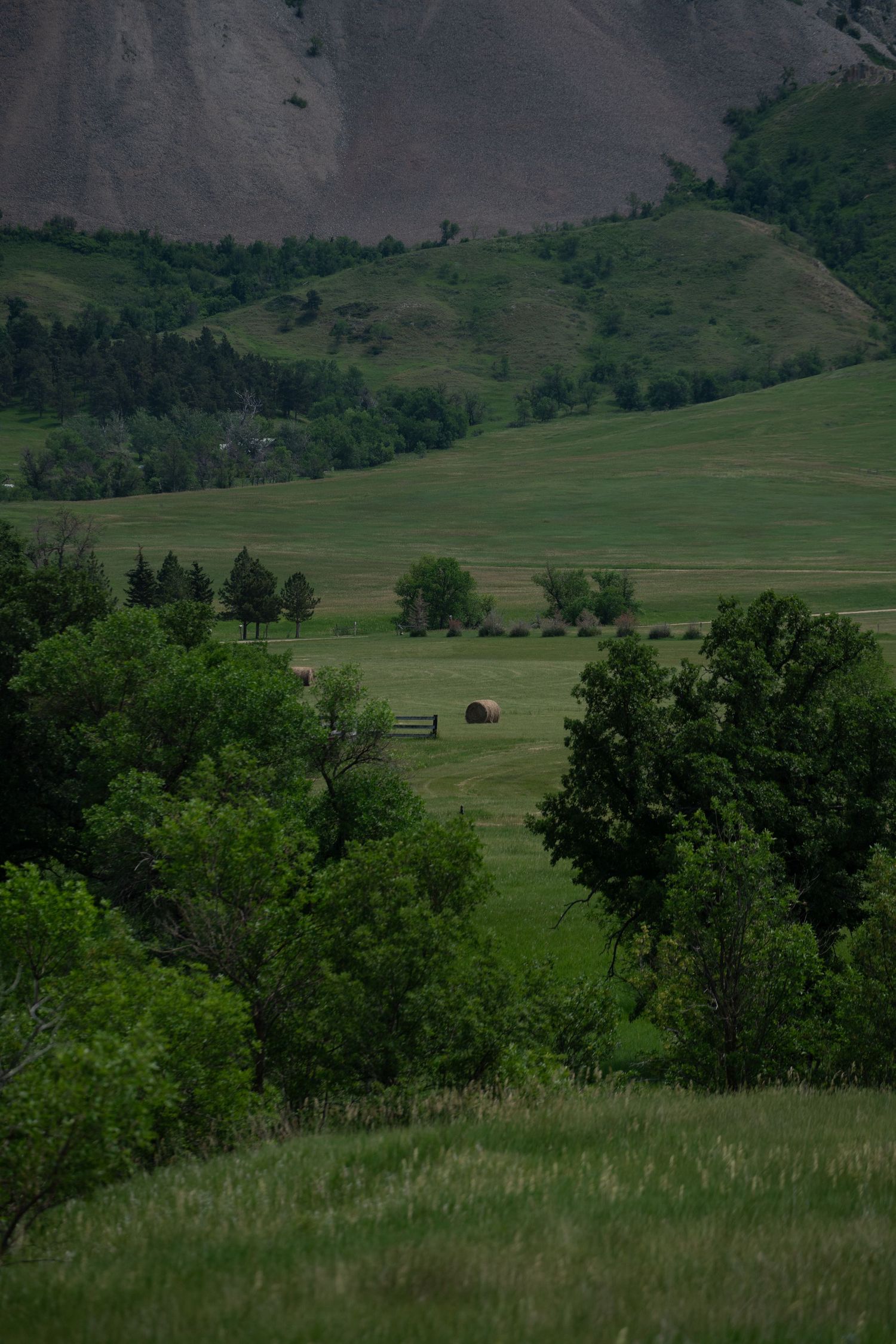 Rolling green hills and meadows stretch across a scenic rural landscape with scattered trees and a small barn.
