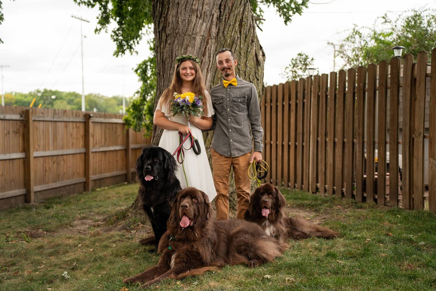 Two dogs sitting with their owners in front of a wooden fence during golden hour.