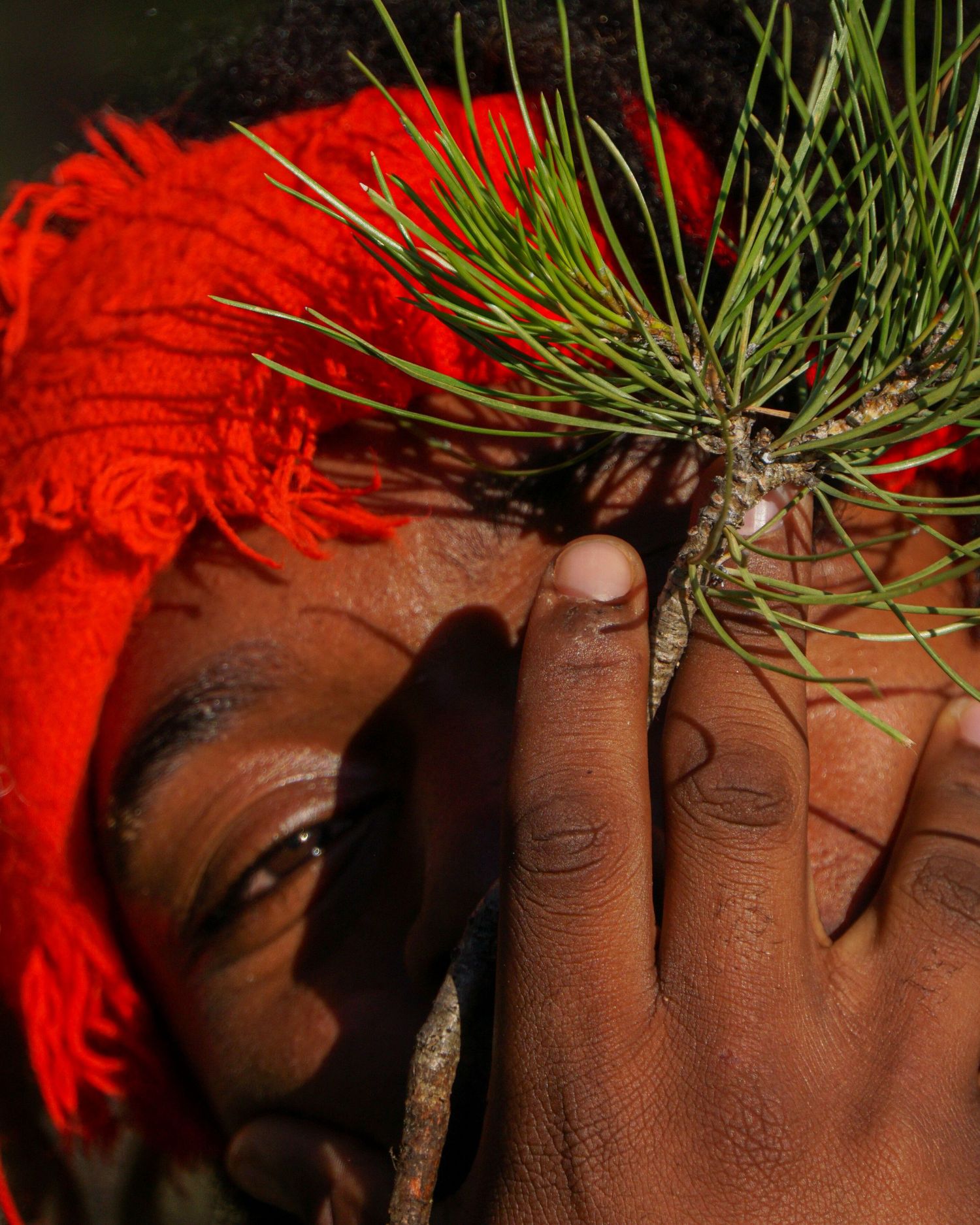 Close-up shot of hands holding pine needles against red fabric background.