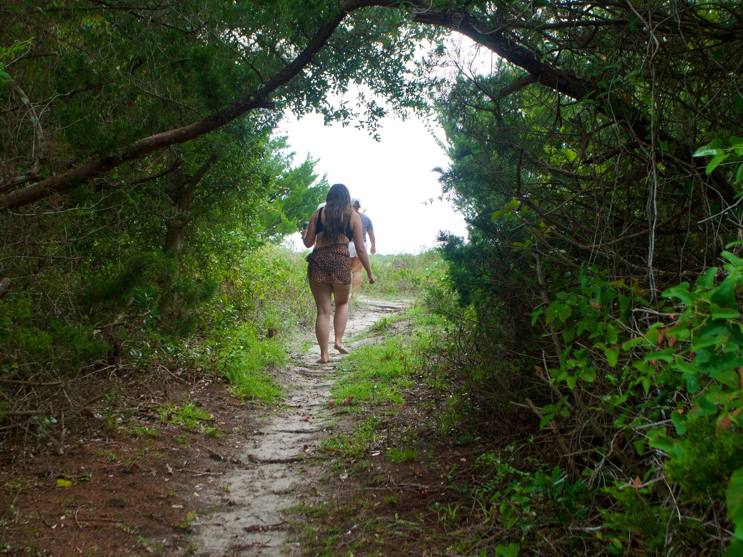 A hiker walks along a shaded nature trail through an archway of green foliage and trees.