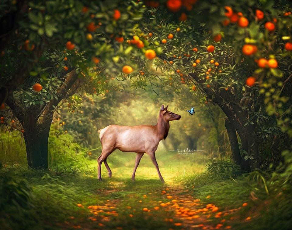 A magical scene of horses walking through an orange grove in golden sunlight.