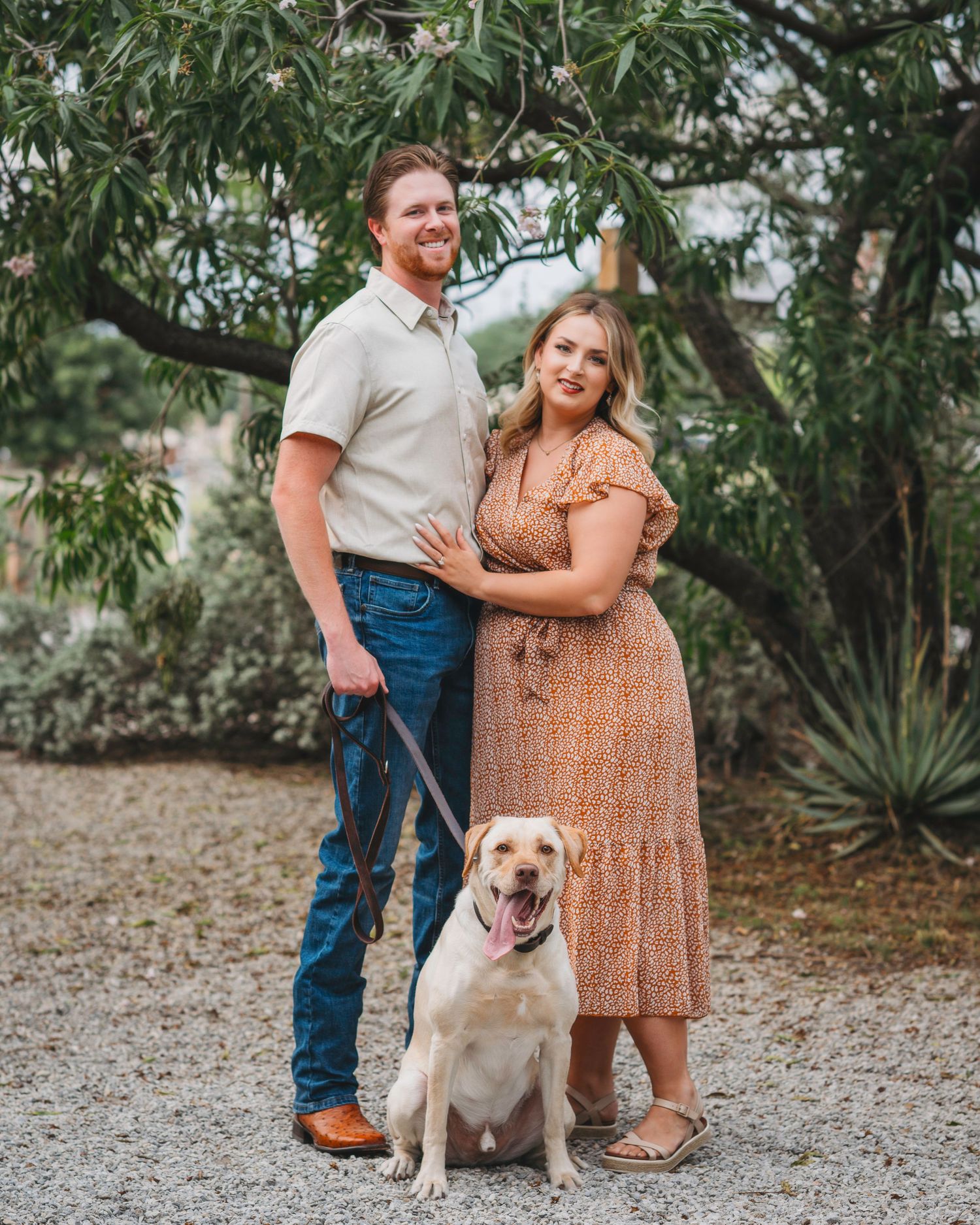 A couple poses outdoors with their happy yellow Labrador on a gravel path surrounded by tropical plants.