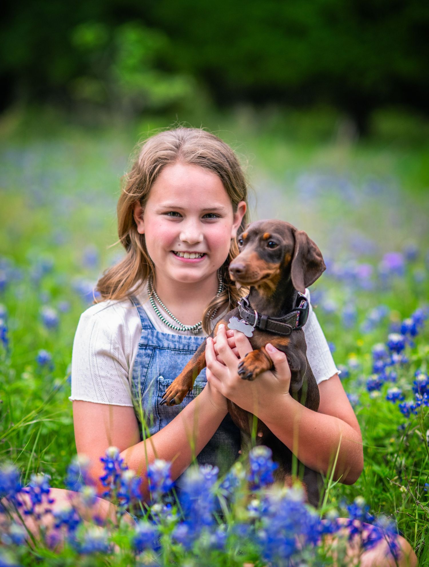 A dachshund puppy being held in a field of blooming bluebonnets.