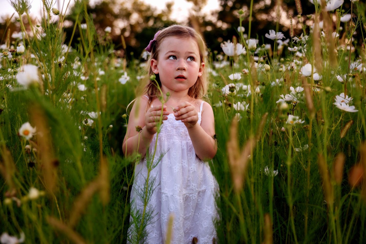 A child in white dress standing among blooming wildflowers during sunset.