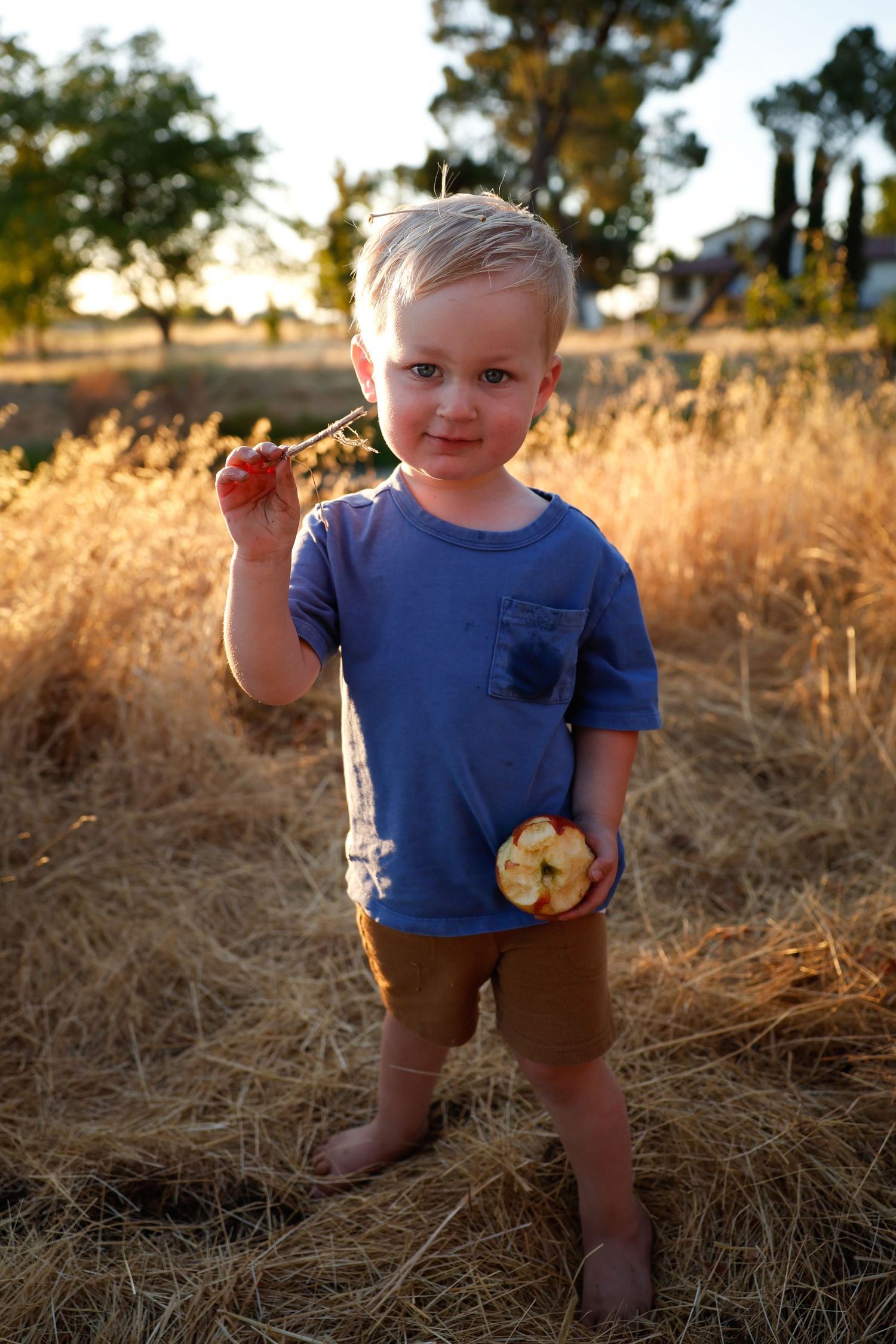 Child in blue shirt plays in tall grass during sunset photo session.