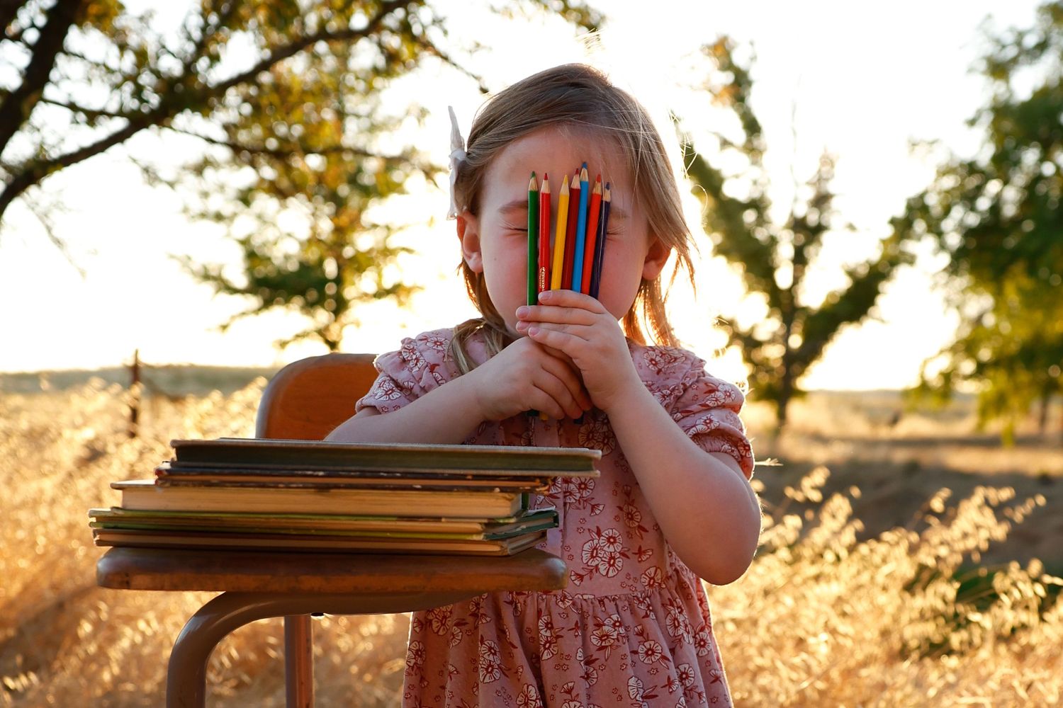 Child explores vintage books and props on wooden desk in golden meadow setting.