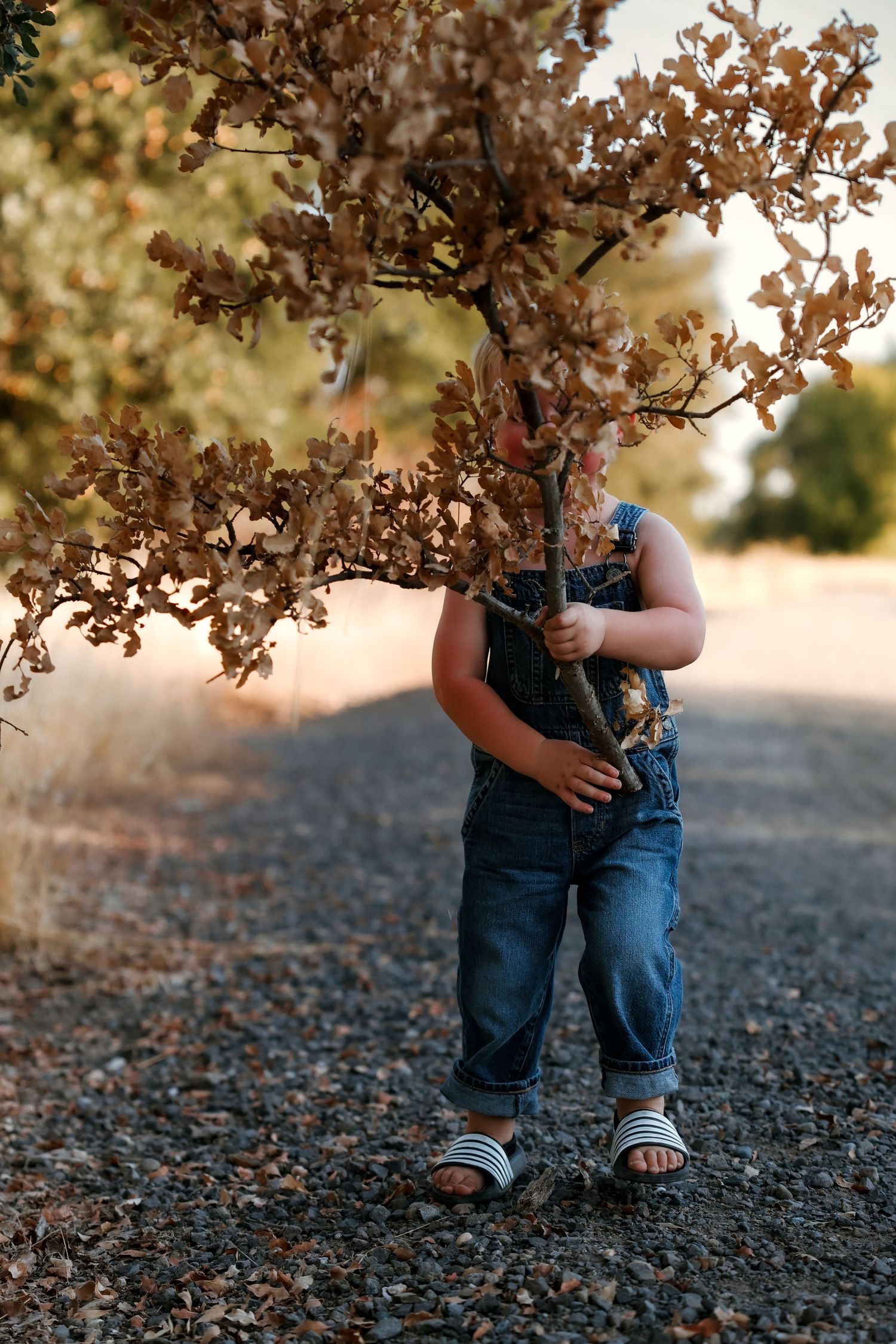 Small denim overalls visible beneath autumn tree branches at sunset.