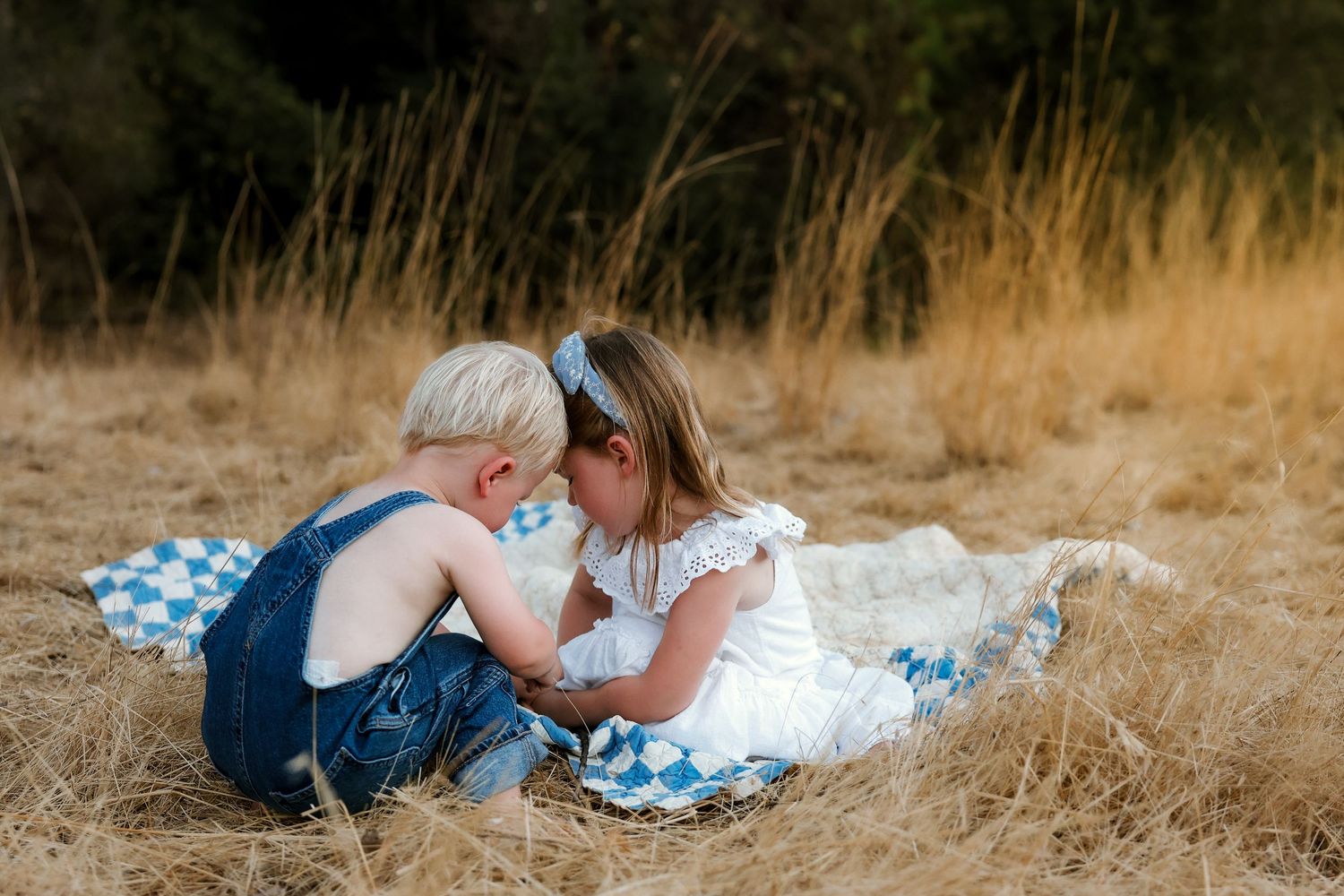 Two people laying on a blue checkered blanket in tall golden grass at sunset.